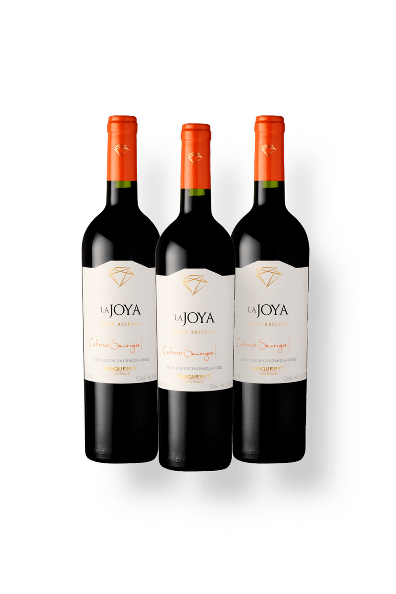02256-Bisquertt-La-Joya-Gran-Reserva-Cabernet-Sauvignon-2022-KIT3.png