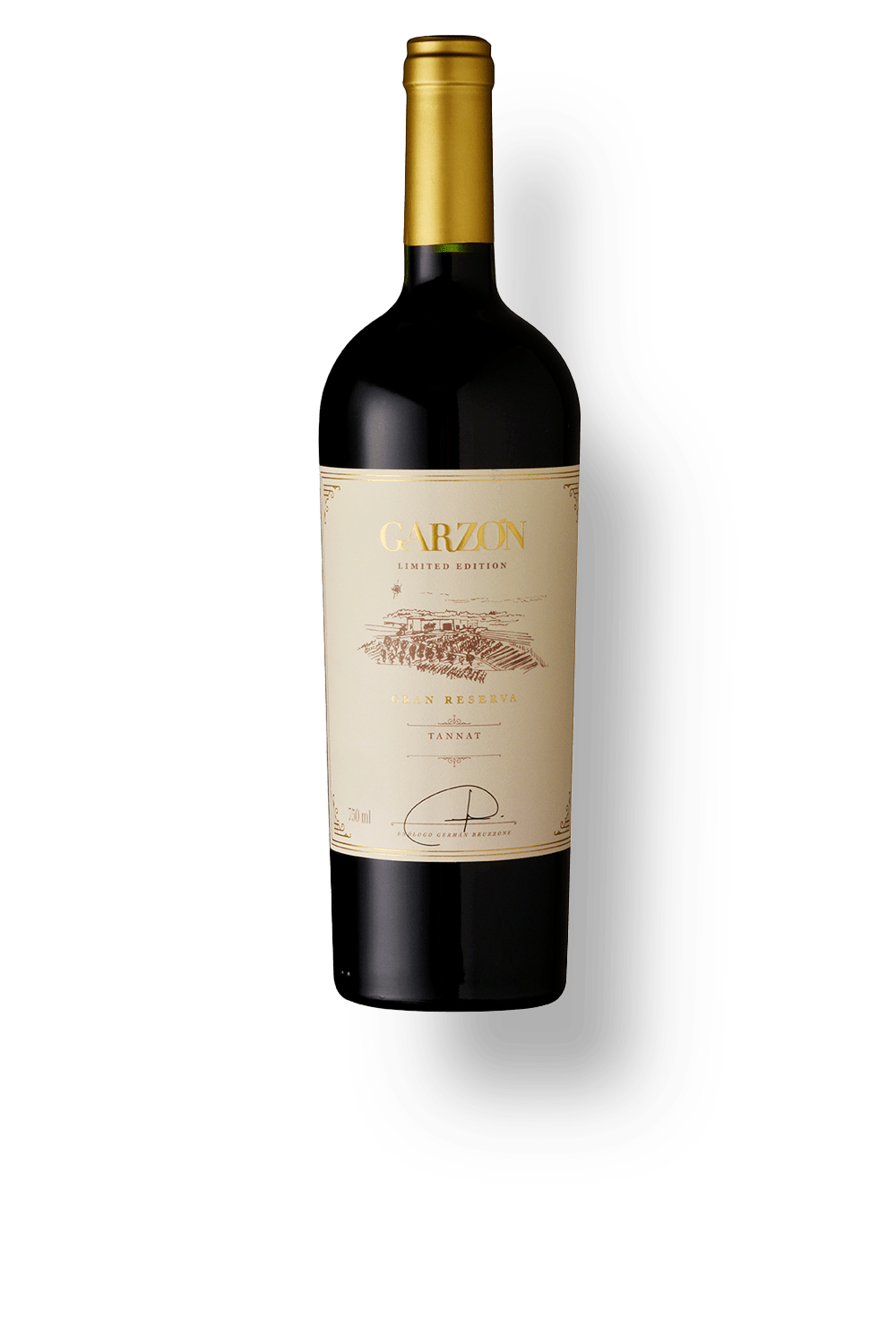 Garzón Gran Reserva Tannat - World Wine