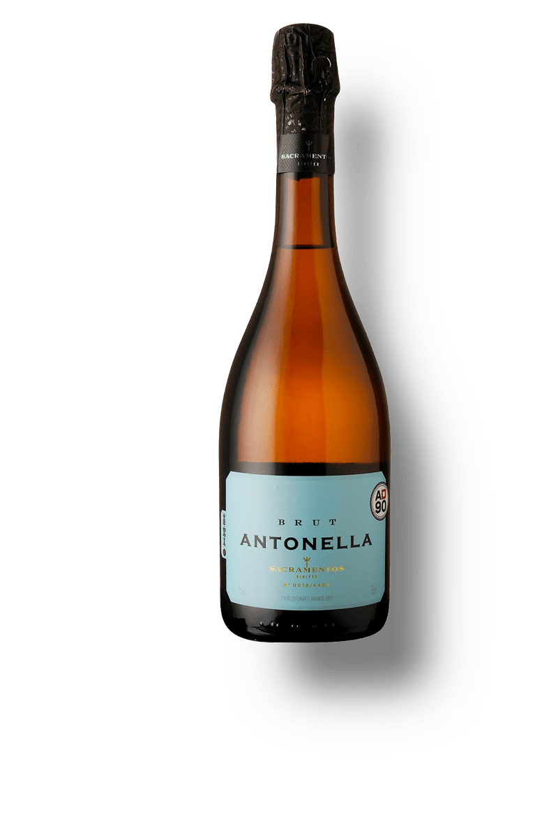 Antonella Brut