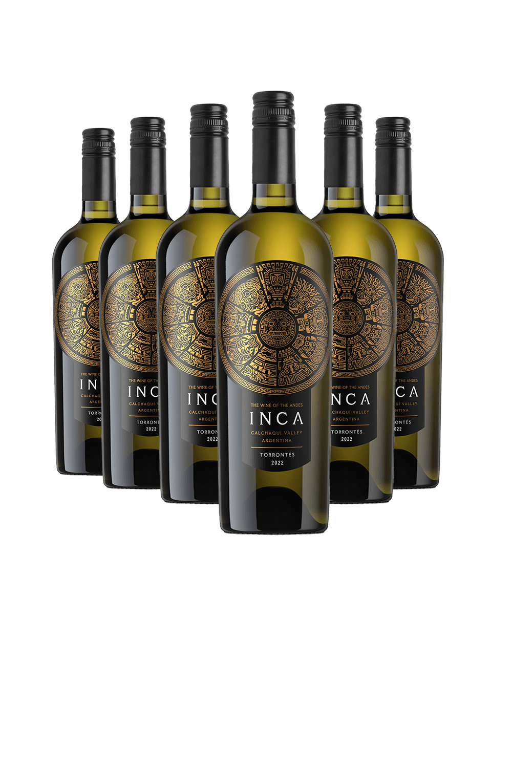Kit 6 Inca Torrontés - World Wine