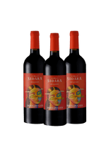 021506-Donnafugata-La-Bella-Sedara-DOC-750-2021-KIT3