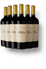 kit-6-Garzon-Grann-Reserva-Tannat