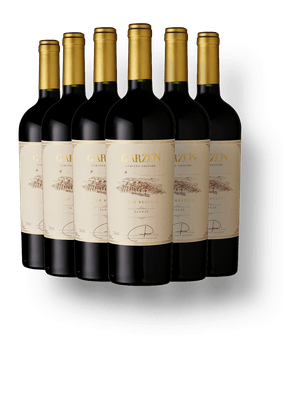 Kit 6 Garzón Gran Reserva Tannat