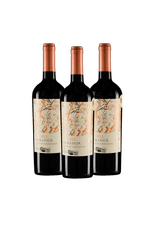 023446-Odfjell-Armador-Cabernet-Sauvignon-Organico-2022