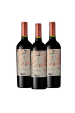 026539-Odfjell-Armador-Merlot-Organico-2022