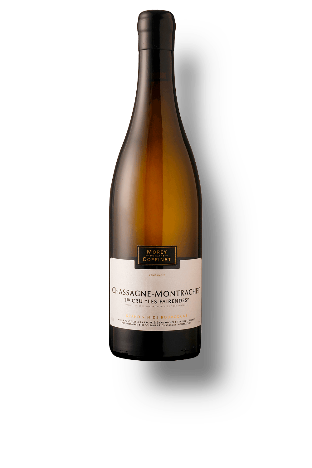Morey Coffinet - World Wine