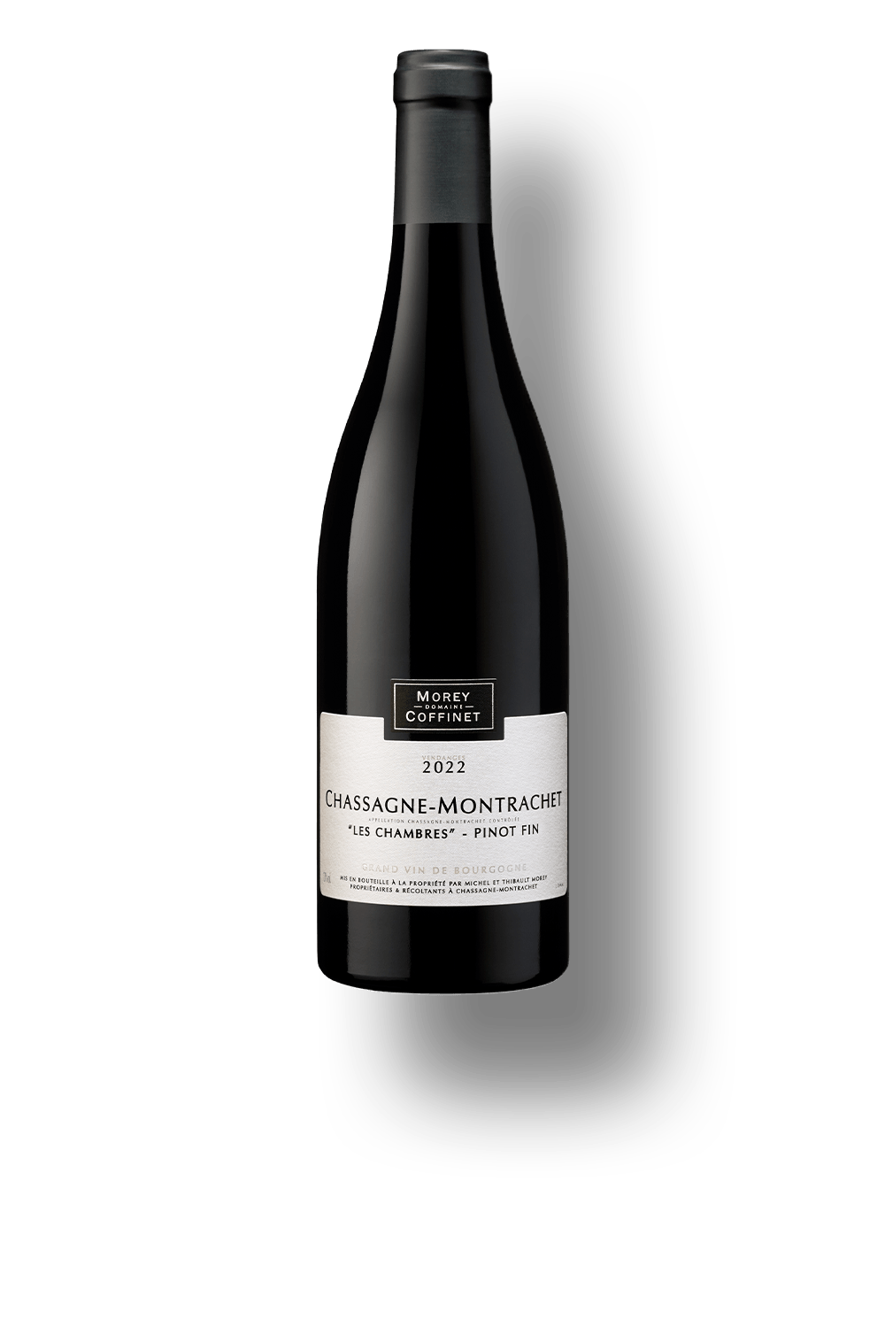 Morey Coffinet - World Wine