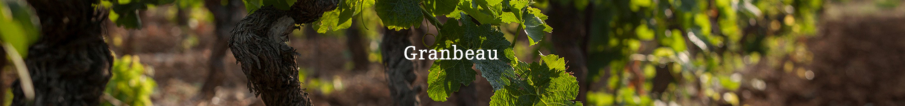 Banner Granbeau